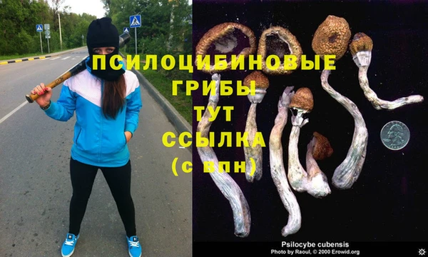 ГАЛЛЮЦИНОГЕННЫЕ ГРИБЫ Алексеевка