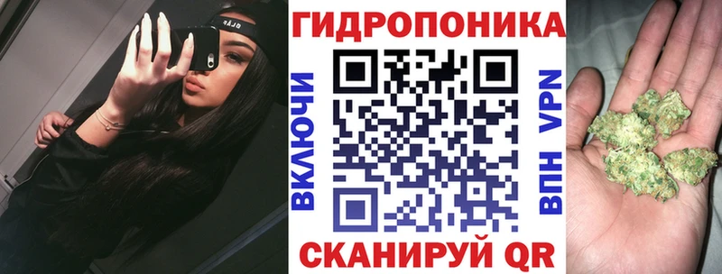 Шишки марихуана сатива  где купить   Краснознаменск 
